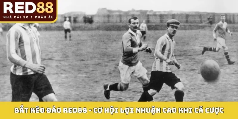 Bắt Kèo Đảo